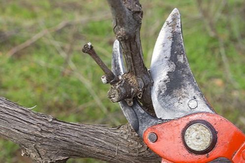 bb708电子游戏娱乐
